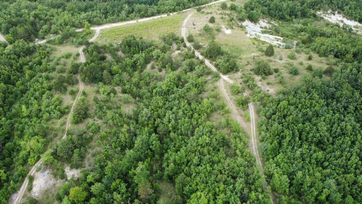 Zemljišče Gračišće, 50.860m2
