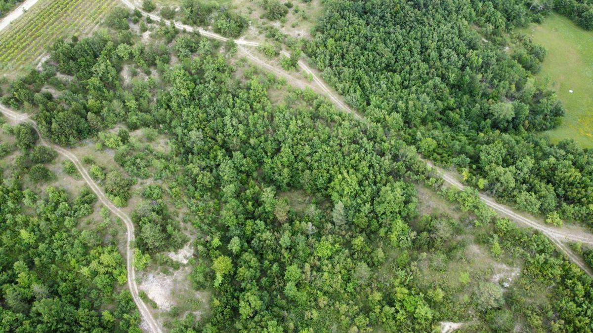 Zemljišče Gračišće, 50.860m2