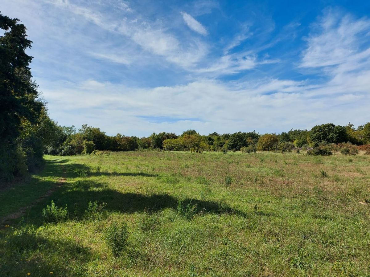 Kmetijsko zemljišče 5292 m2, širše območje Barbana