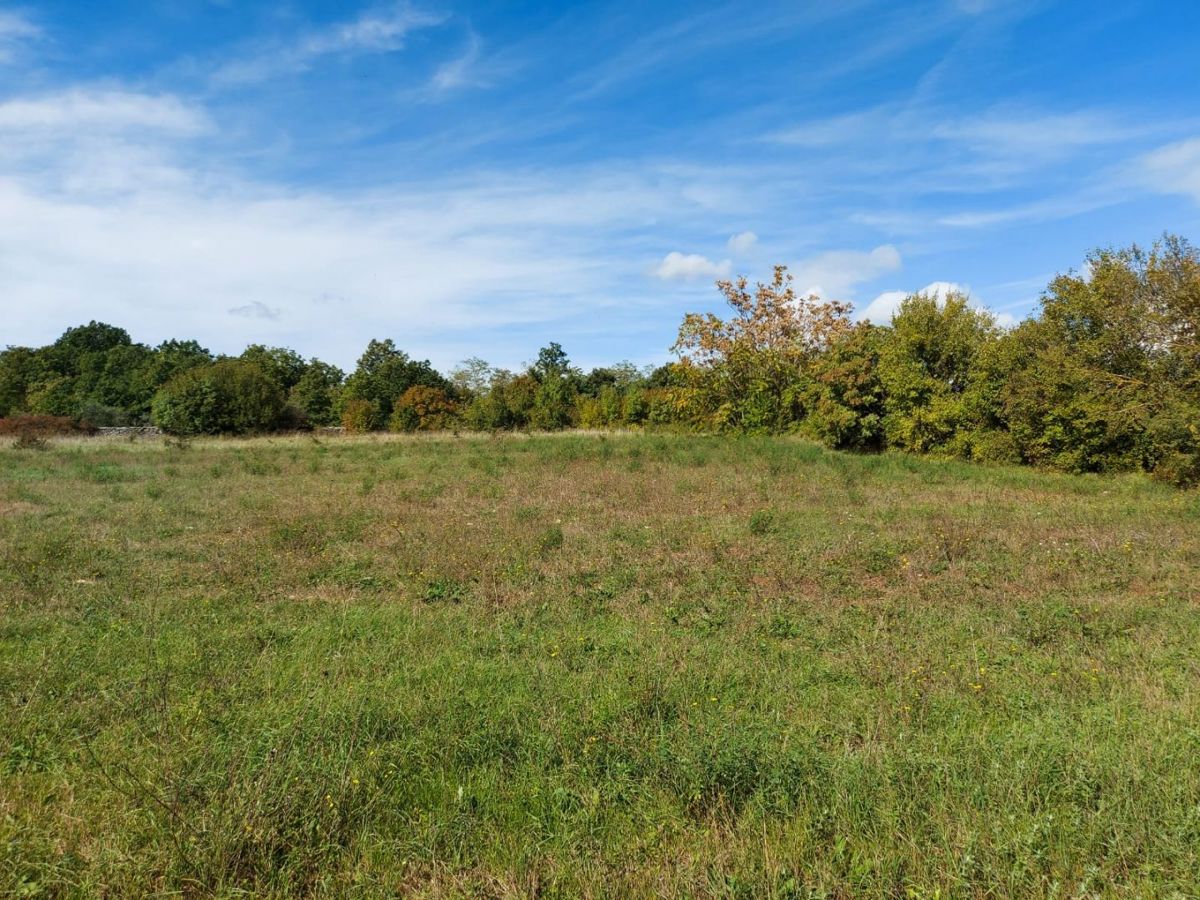 Kmetijsko zemljišče 5292 m2, širše območje Barbana