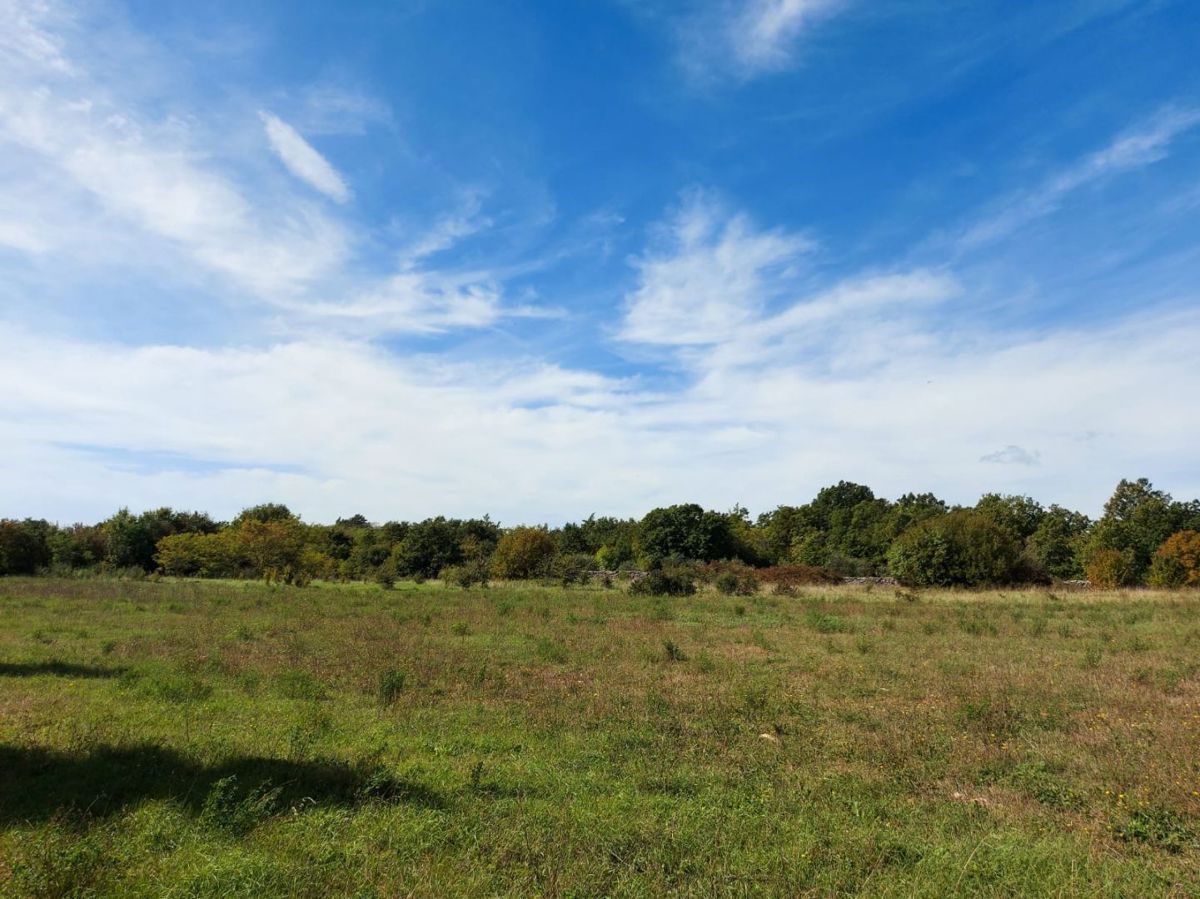 Kmetijsko zemljišče 5292 m2, širše območje Barbana