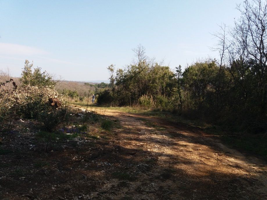 Zemljišče Marčana, 1.260m2