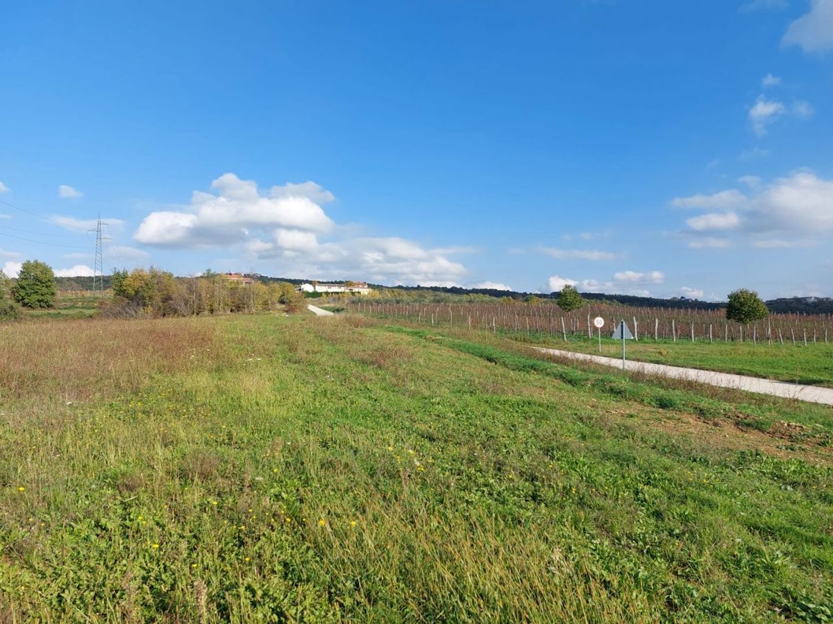 Zemljišče Buzet, 2.321m2