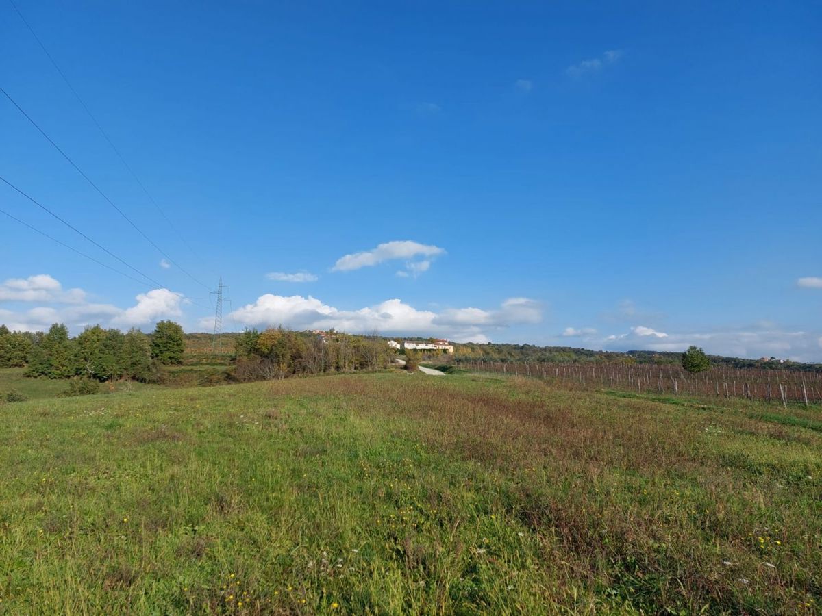Zemljišče Buzet, 2.321m2