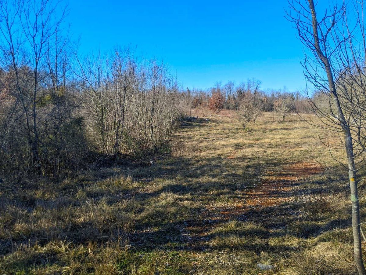 Zemljišče Labin, 12.842m2