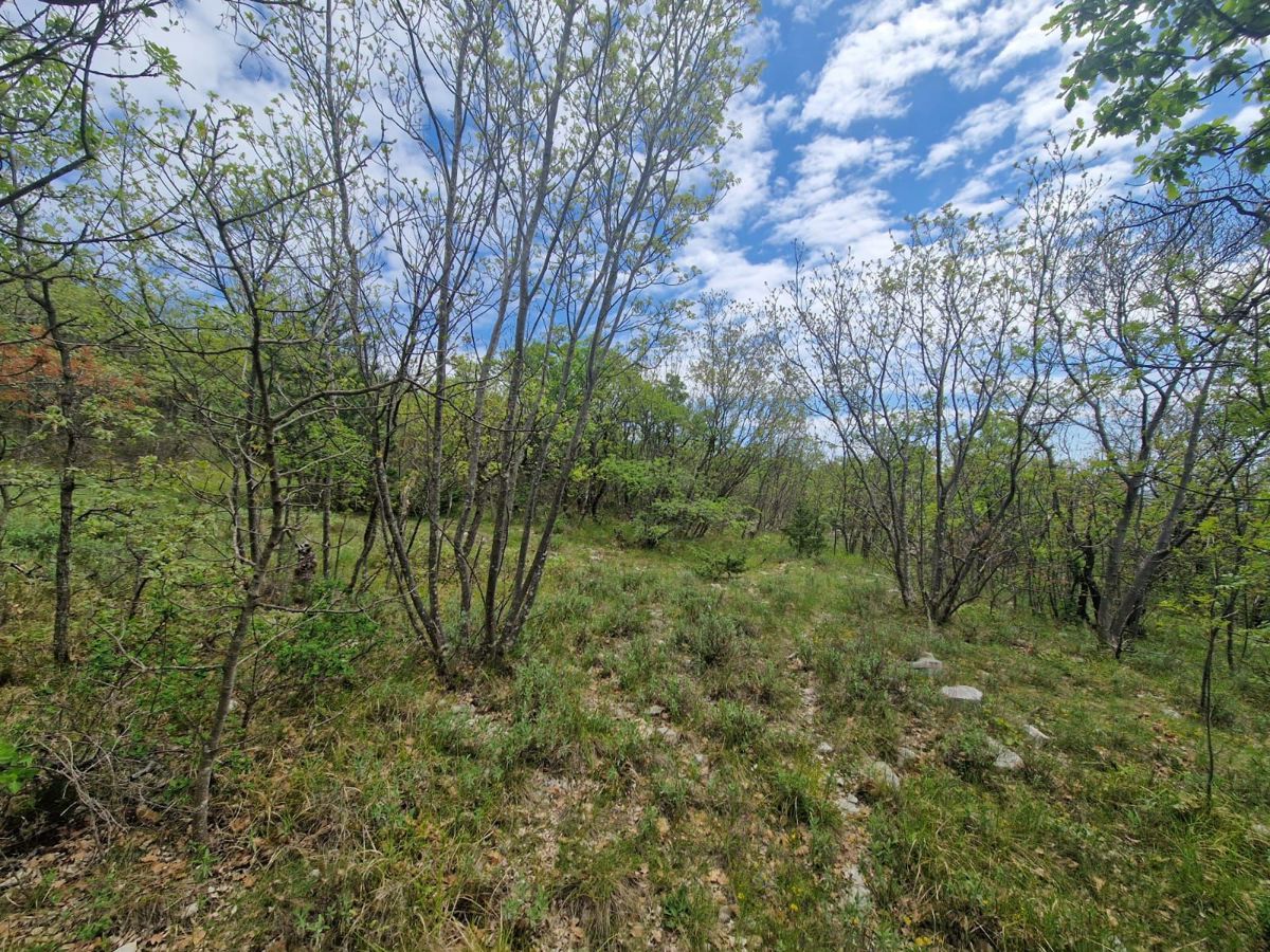 ISTRA, Priložnost za investitorje- Stavbno zemljišče s pogledom na morje, 12400 m2