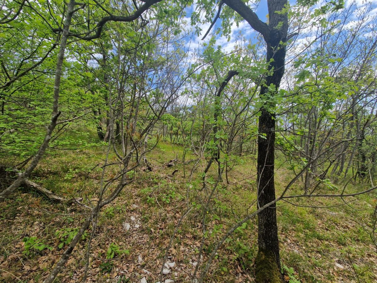 ISTRA, Priložnost za investitorje- Stavbno zemljišče s pogledom na morje, 12400 m2