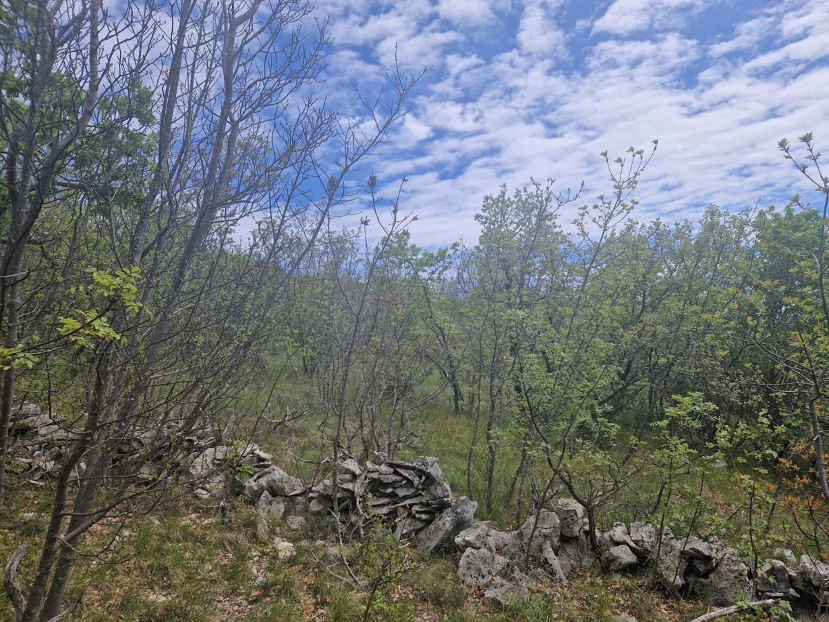 ISTRA, Priložnost za investitorje- Stavbno zemljišče s pogledom na morje, 12400 m2