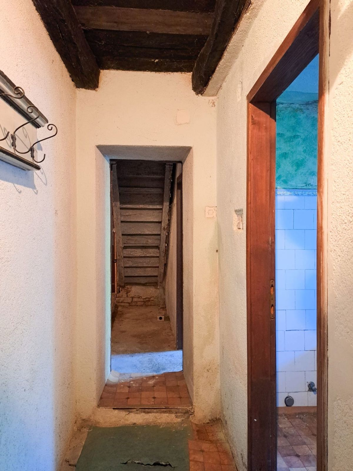 Samostojna hiša za adaptacijo s pogledom na Motovun