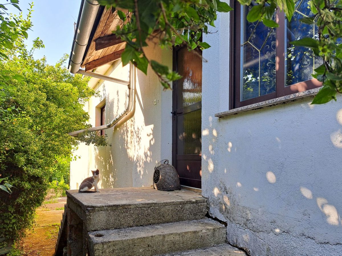 Samostojna hiša za adaptacijo s pogledom na Motovun