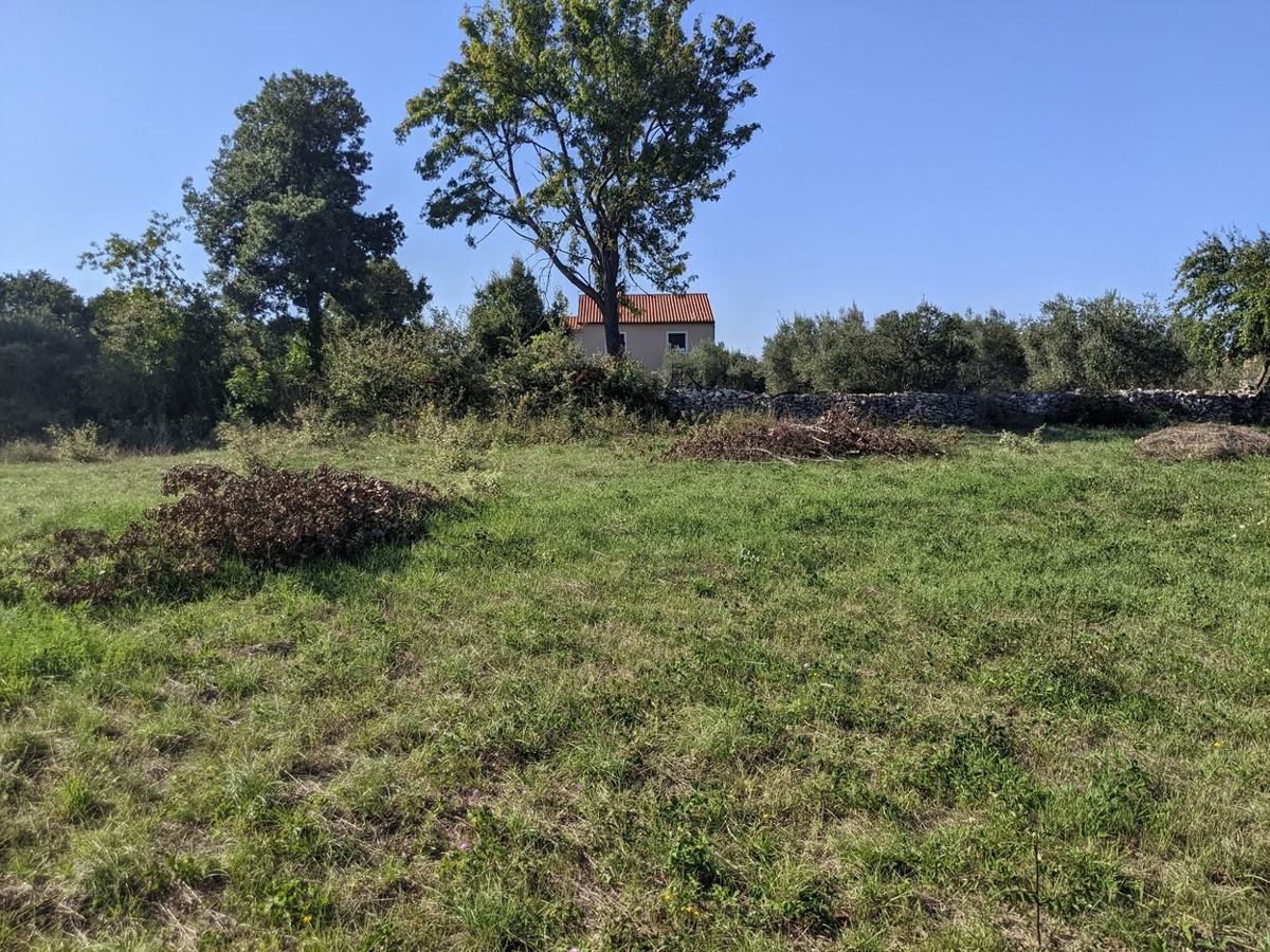Marčana, zazidljiva parcela 536 m2