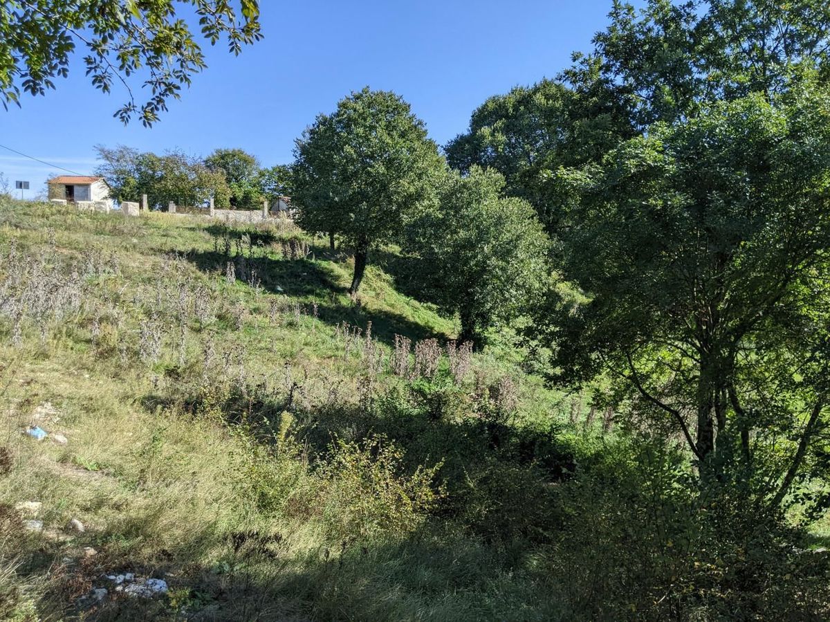 Svetvinčenat, kompleks gradbenih in kmetijskih zemljišč.