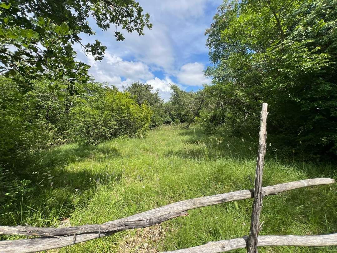 Zemljišče Bale, 30.058m2