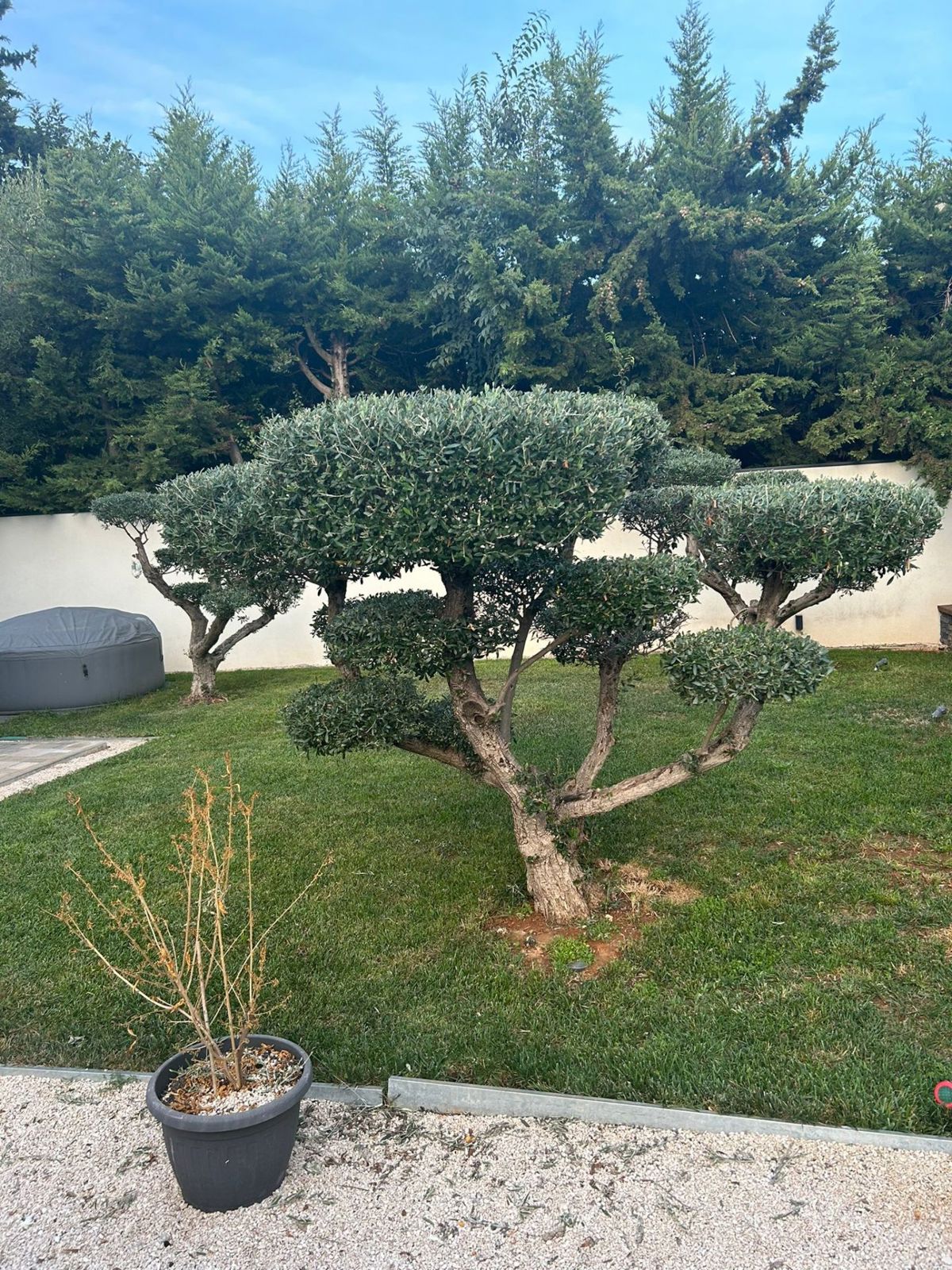 Hiša Poreč, 85m2