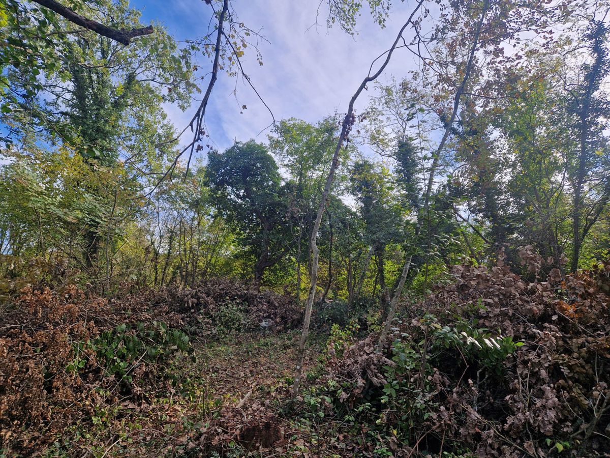 Zemljišče Labin, 9.158m2