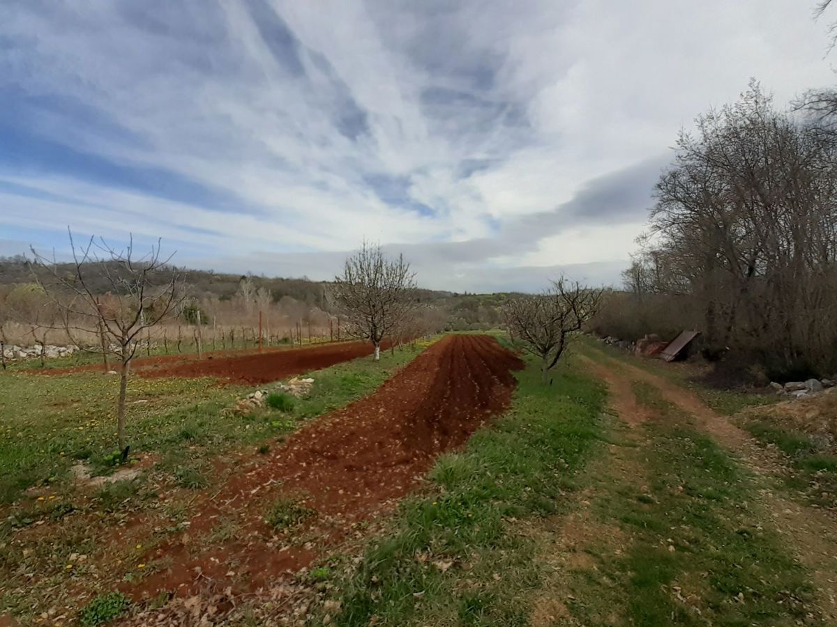 Hiša Labin, 140m2