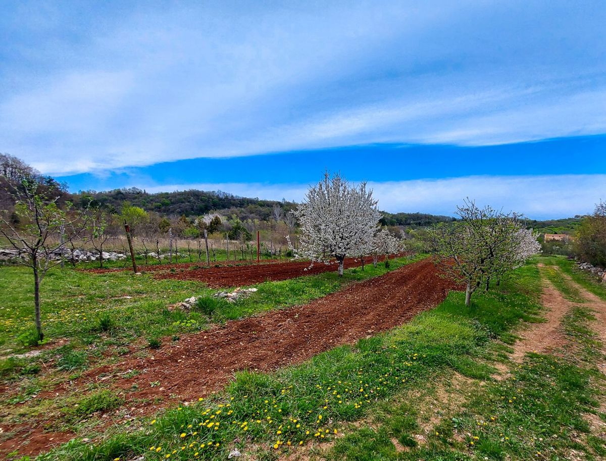 Hiša Labin, 140m2