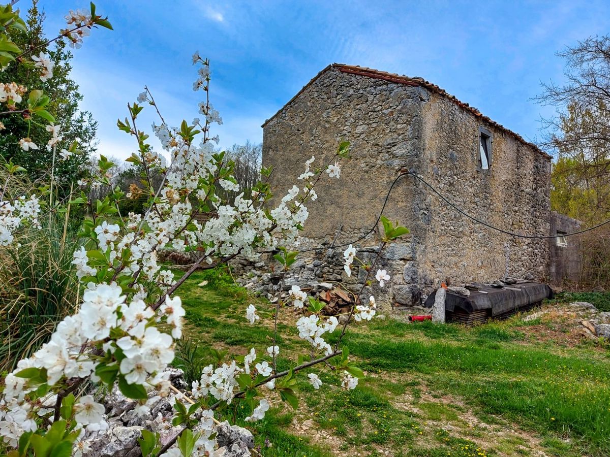 Hiša Labin, 140m2