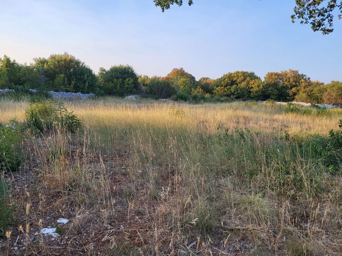 Zemljišče Bale, 11.190m2