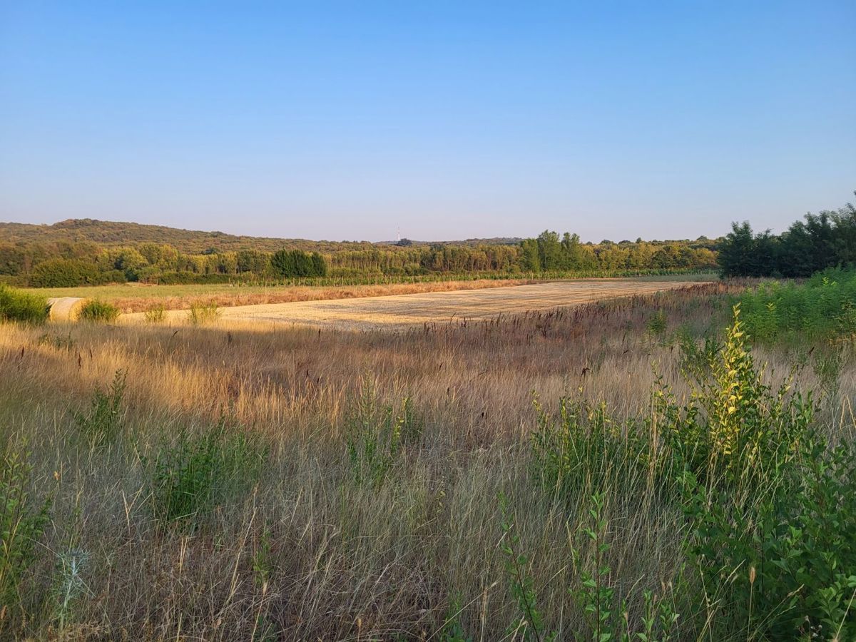 Zemljišče Bale, 11.190m2