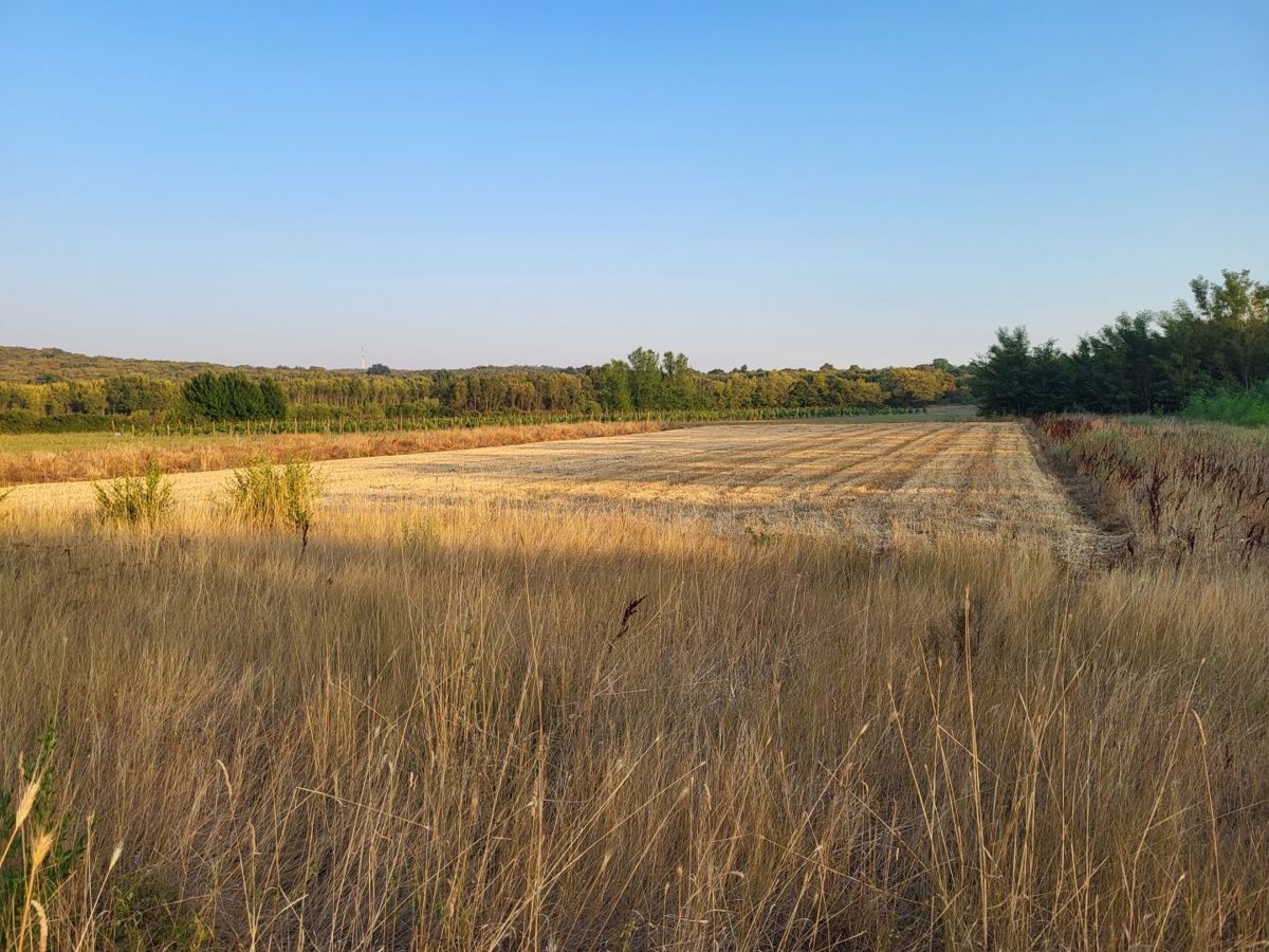 Zemljišče Bale, 11.190m2