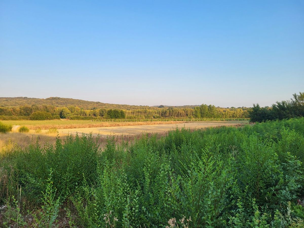 Zemljišče Bale, 11.190m2