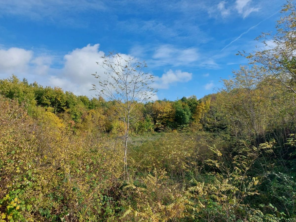 Zemljišče Pićan, 10.958m2