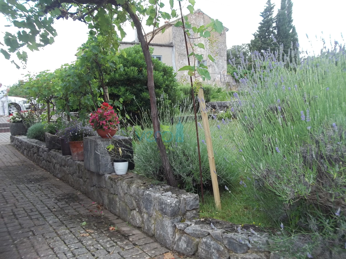 Otok Krk, Dobrinj, okolica, obnovljena kamnita hiša z velikim vrtom