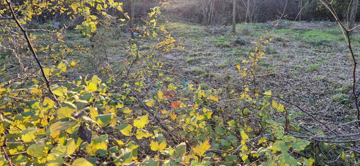 Malinska, otok Krk, okolica, kmetijsko zemljišče 2090 m2, prodaja