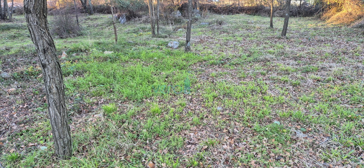 Malinska, otok Krk, okolica, kmetijsko zemljišče 2090 m2, prodaja