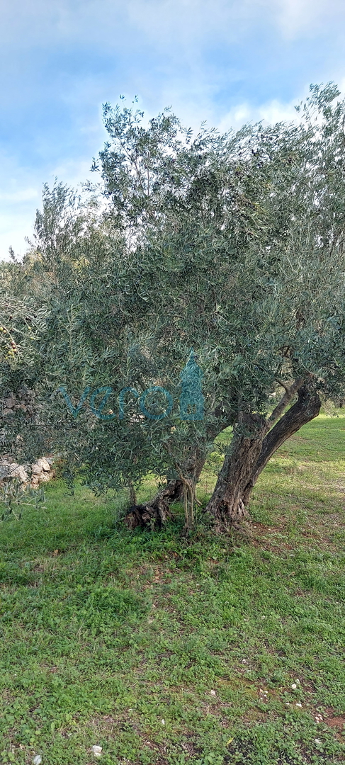 Mesto Krk, gradbeno zemljišče 150 m od morja za turistično-gostinske namene, prodaja