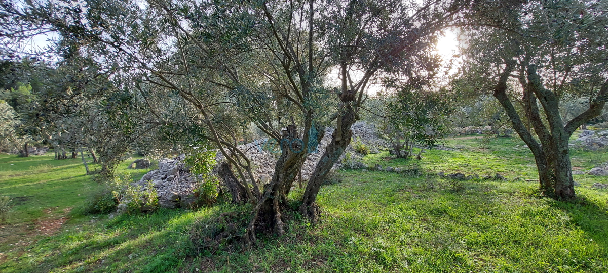 Mesto Krk, gradbeno zemljišče 150 m od morja za turistično-gostinske namene, prodaja