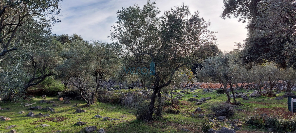 Mesto Krk, gradbeno zemljišče 150 m od morja za turistično-gostinske namene, prodaja