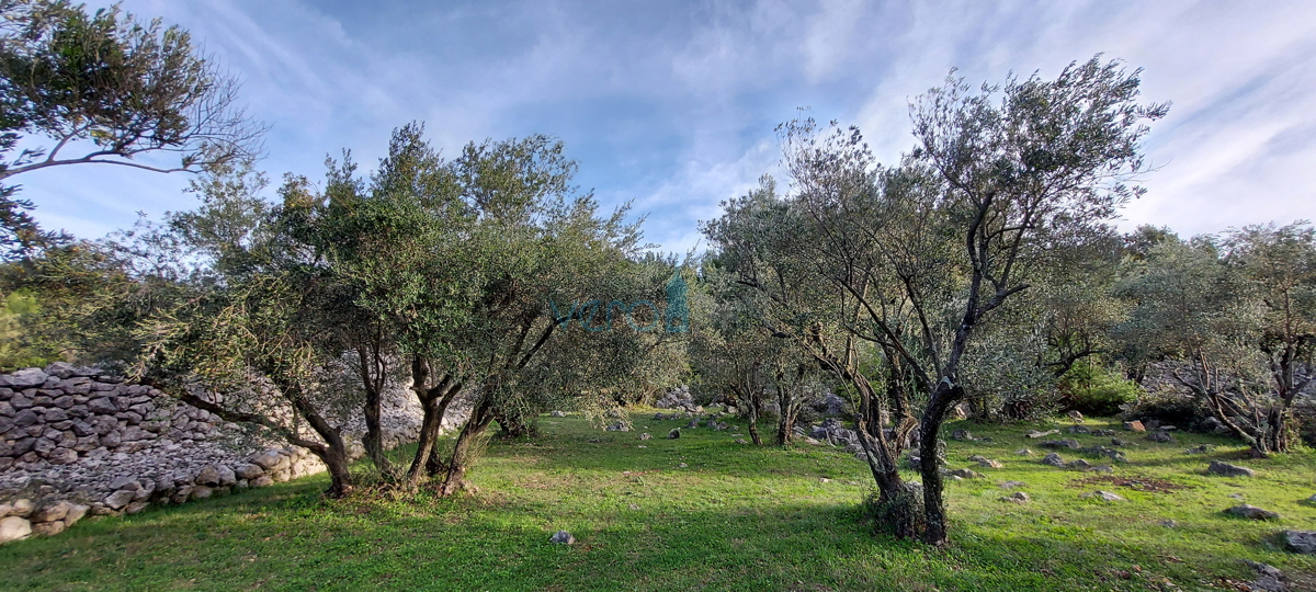 Mesto Krk, gradbeno zemljišče 150 m od morja za turistično-gostinske namene, prodaja