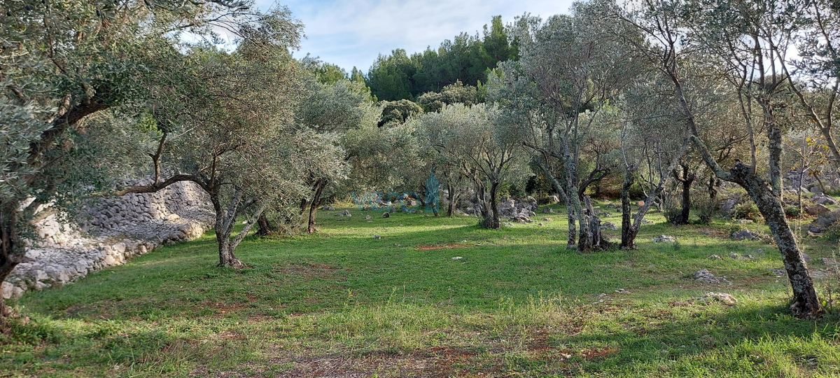 Mesto Krk, gradbeno zemljišče 150 m od morja za turistično-gostinske namene, prodaja