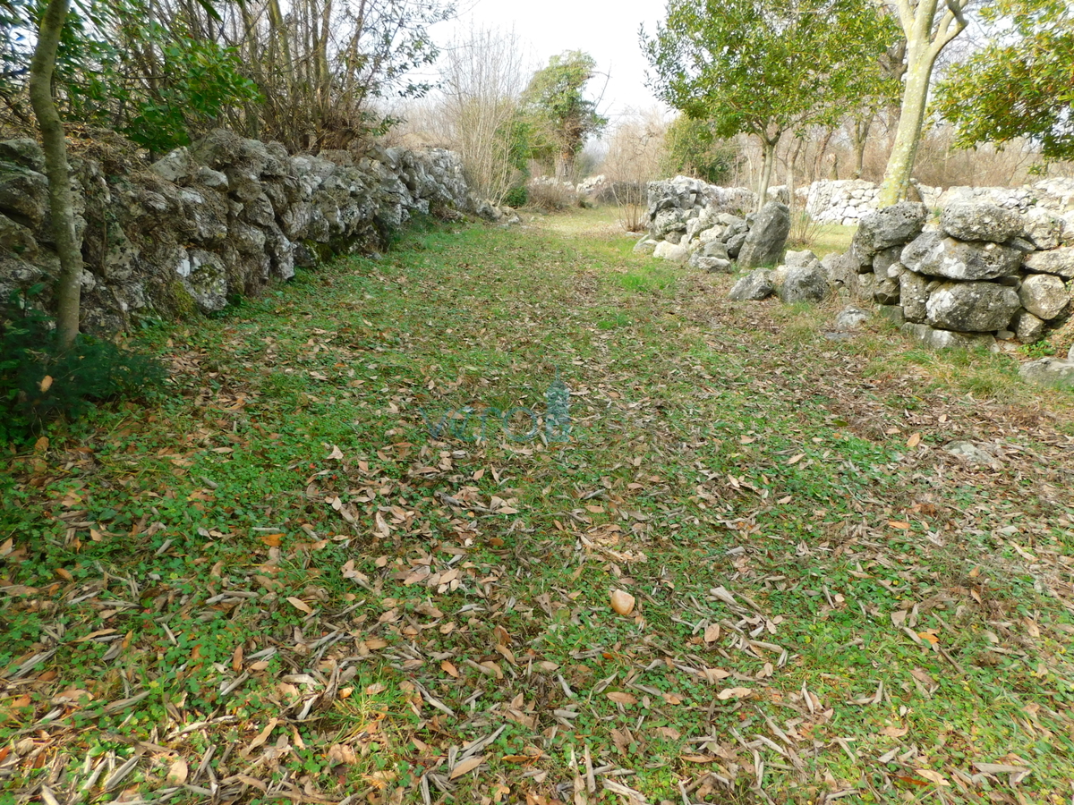 Otok Krk, Dobrinj, stara hiša za obnovo, prodamo