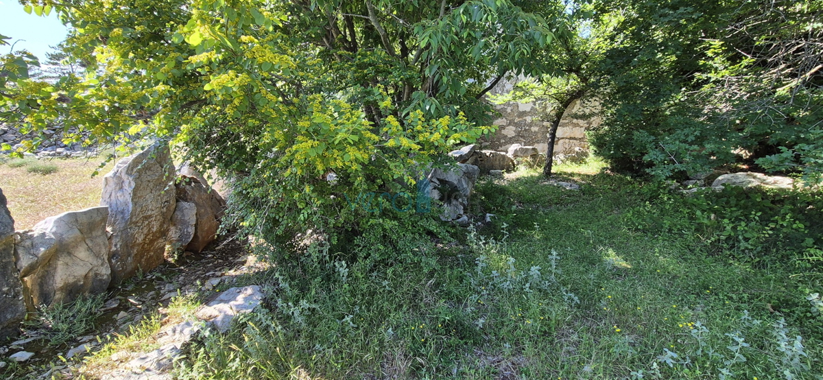 Uvala Soline, okolica, kamnita pritlična hiša, vrt, mirna lokacija, razgled, prodaja