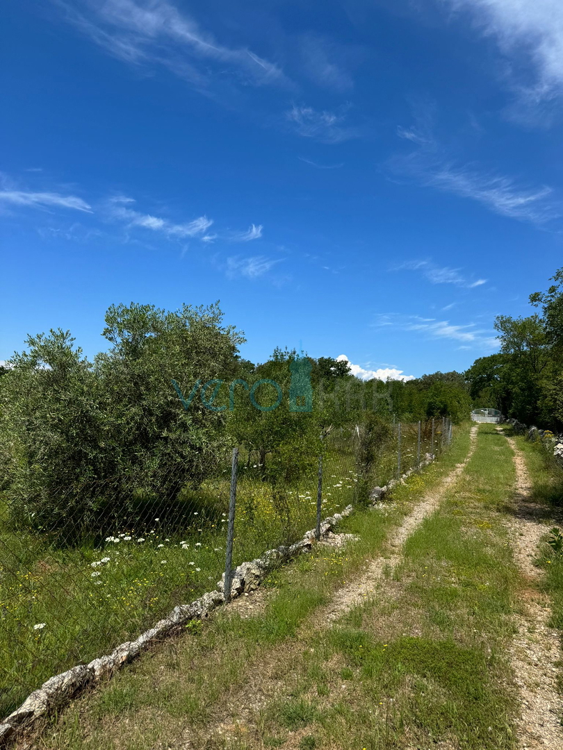 Malinska, kmetijsko zemljišče 1177 m2, prodaja