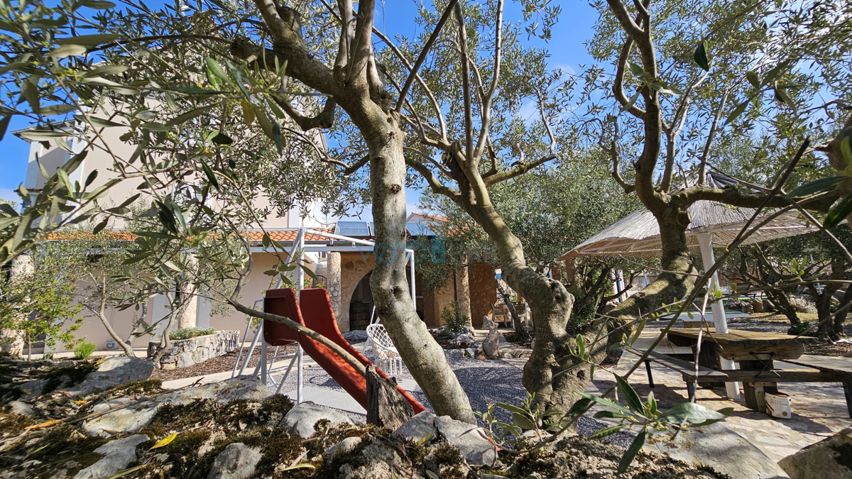 Otok Krk, Dobrinj, luksuzna avtohtona vila z oljčnikom in bazenom