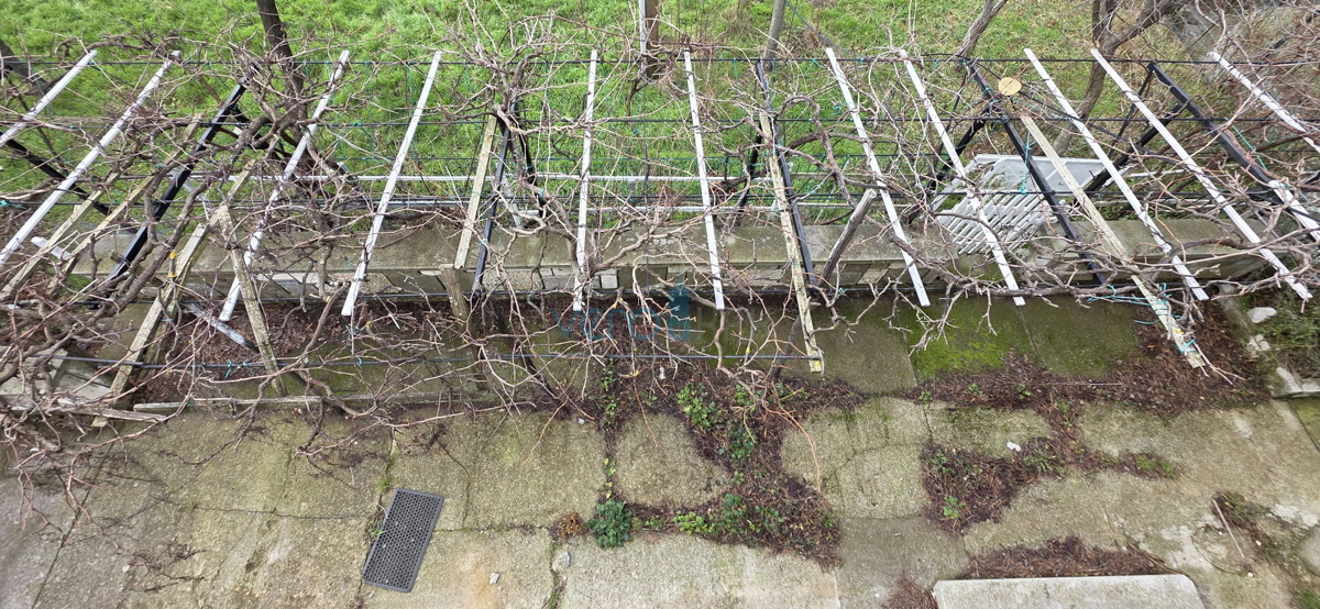 Senj, okolica, družinska hiša velikosti 150 m2 na zemljišču 1000 m2, pogled na morje, prodaja