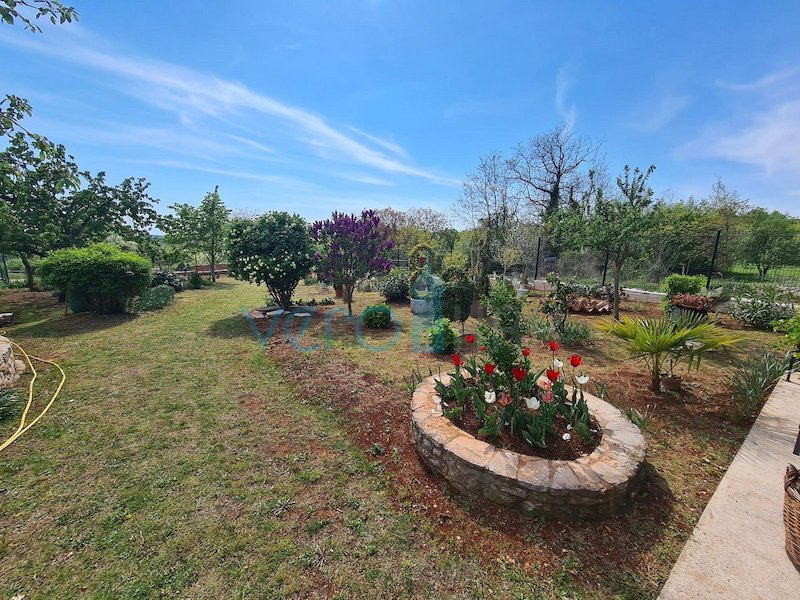 Istra, Buje, Oprtalj širša okolica, samostojna avtohtona hiša 250 m2, z zemljiščem 1100 m2, prodaja