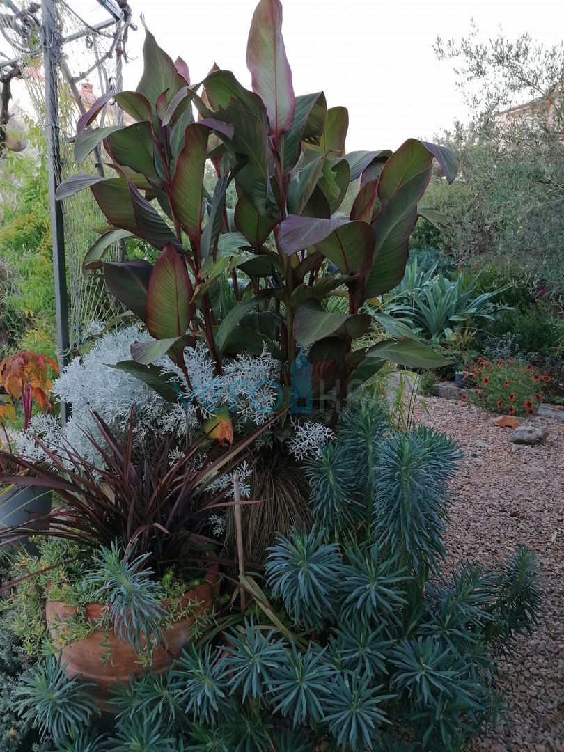 Otok Krk, mesto Krk, širša okolica, samostojna hiša z dvema stanovanjema na parceli velikosti 992 m2, razgled, prodaja