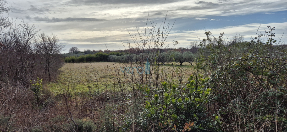 Istra, Umag, gradbeno in kmetijsko zemljišče 1250 m2, prodaja