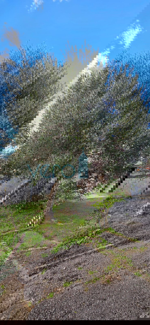 Novi Vinodolski, Bribir, dvojna hiša 115 m2 z zemljiščem 800 m2, prodaja