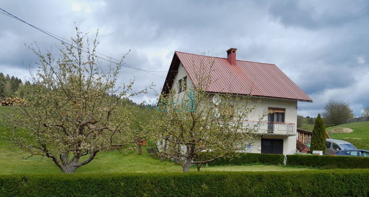 Čabar, Prezid, samostojna hiša, velika parcela, drvarnica, prodaja