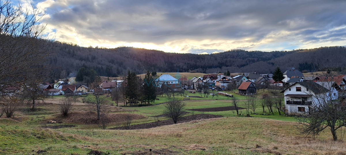 Čabar, Prezid, samostojna hiša, velika parcela, drvarnica, prodaja