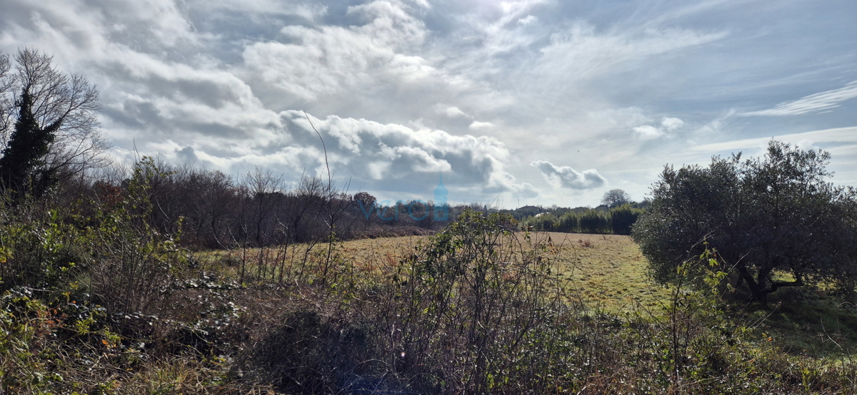 Istra, Umag, gradbeno zemljišče 500 m2, prodaja