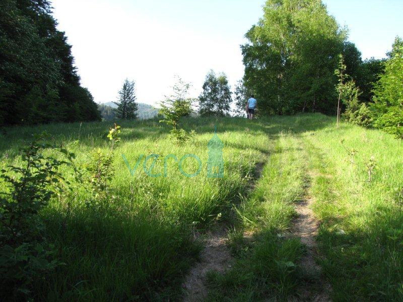 Fužine, okolica - zemljišče 4762 m2 za objekte kmečkega turizma, prodamo