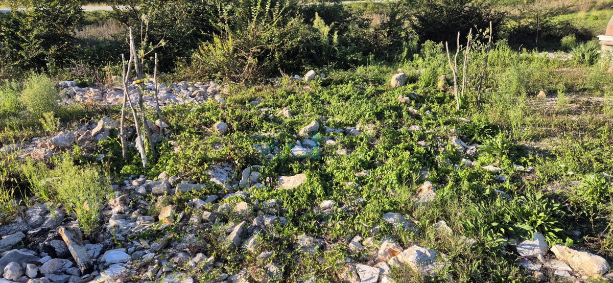 Omišalj, otok Krk, kmetijsko zemljišče 878 m2, prodaja