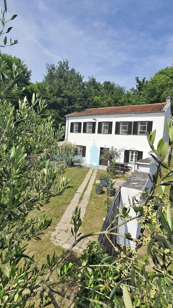 Crikvenica, Grižane, samostojna kamnita hiša, vrt, prodaja